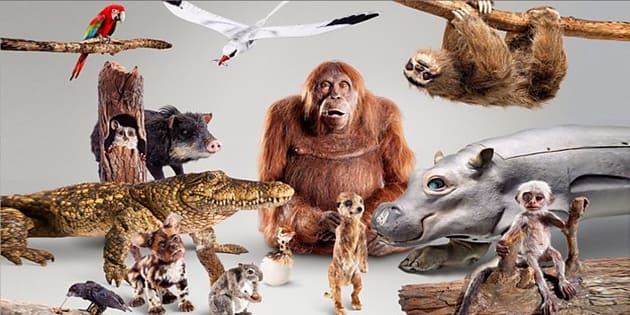documentaire animalier bbc